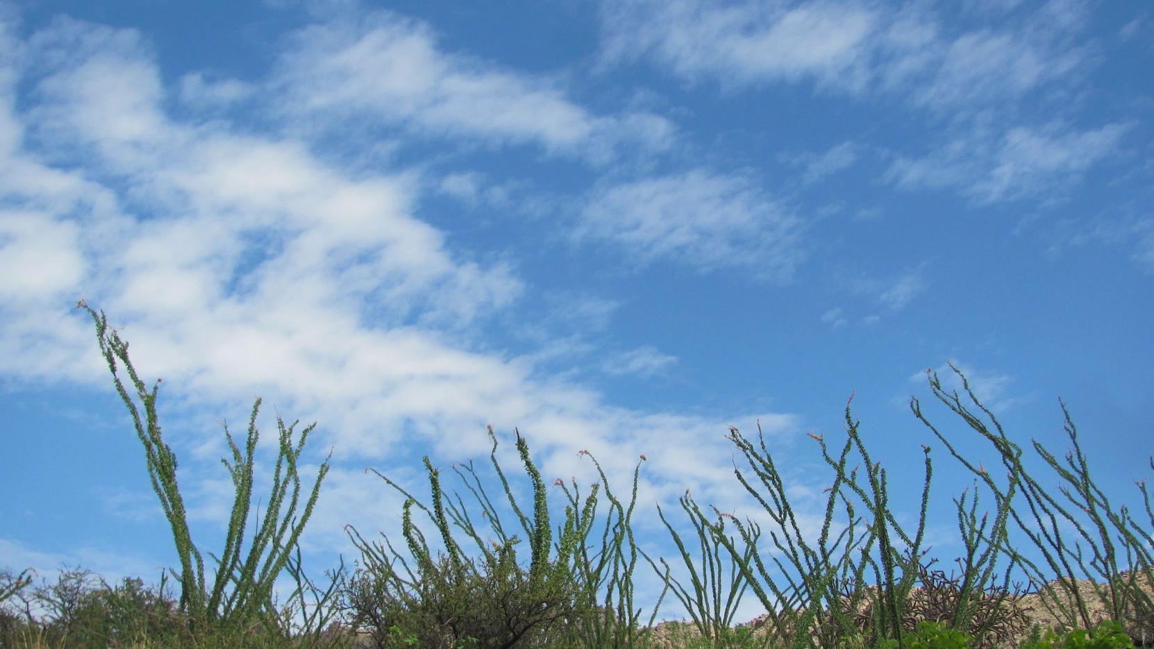 Tucson weather: Get ready for a break in the rain